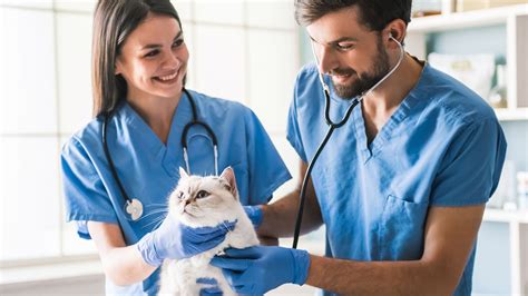 veterinarians|Veterinarians .